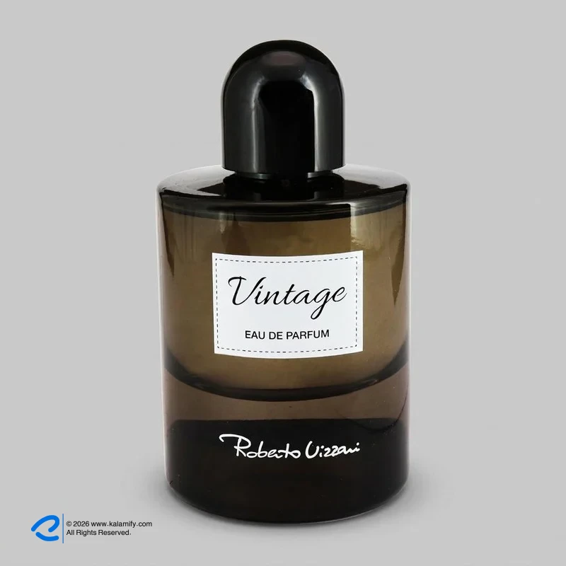 ادوپرفیوم روبرتو ویزاری مدل Vintage حجم 100 میلی لیتر روبرتو ویزاری Vintage